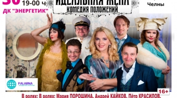 Идеальная жена