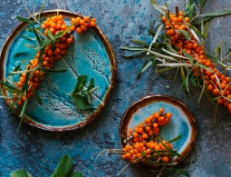 В своем отечестве: самые полезные осенние ягоды