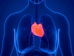 7 правил жизни, которые спасут от проблем с сердцем