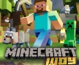 MINECRAFT шоу