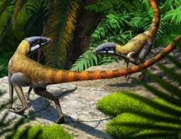 Окаменелость возрастом 230 миллионов лет подсказала о происхождении птерозавров