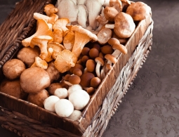 7 самых полезных грибов, которые нужно есть как можно чаще
