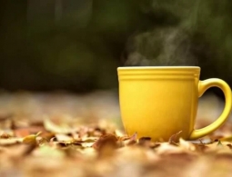 Как устранить недостаток витамина D осенью и зимой?