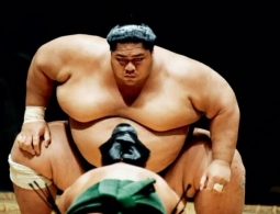 Почему борцам сумо нужно весить больше 120 кг и как они выглядят в детстве