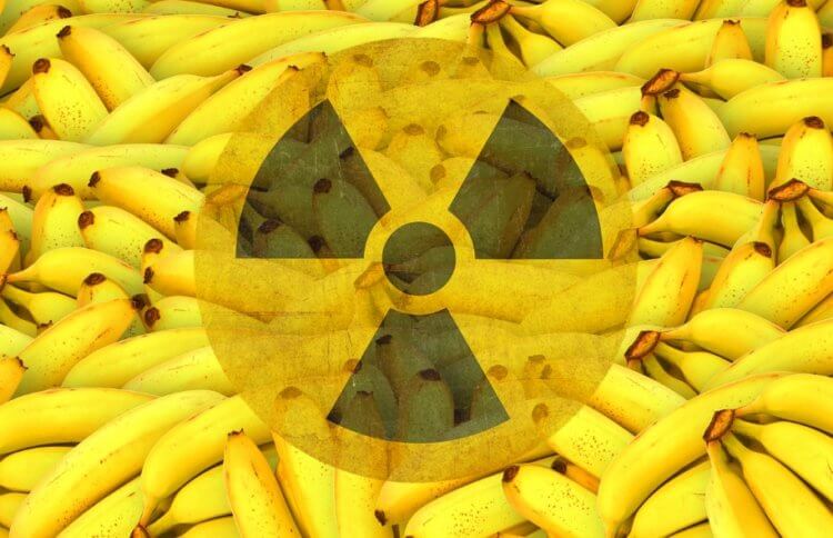 Правда ли, что бананы радиоактивны и опасны для здоровья
