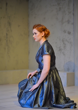 Летние осы кусают нас даже в ноябре