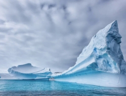 Подо льдами Антарктиды обнаружили фитопланктон — природа сама борется с потеплением климата?