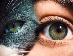 Как видят мир собаки, кошки и другие животные — посмотрите сами на фотографиях