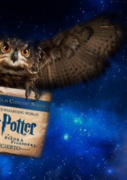 Magic music of Harry Potter