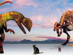 Почему млекопитающие пережили падение астероида, а динозавры вымерли