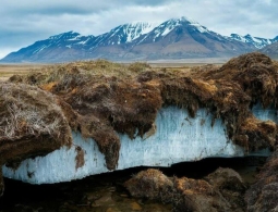 Сенсационные открытия, которые были совершены в Сибири и других холодных местах