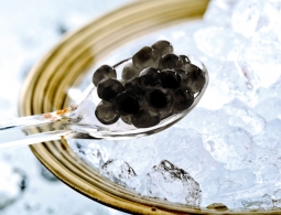 Как правильно подавать и есть черную икру