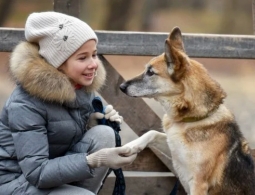 Как разговаривать с животными и понимать их?