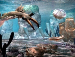 Посмотрите как выглядело существо, жившее 500 миллионов лет назад