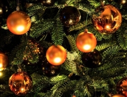 Почему людям нужно отказаться от новогодней елки и чем ее заменить