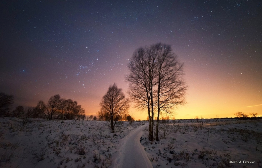 Астрологи предсказали интересный год: четыре затмения, звездопады и суперлуние. Что будет видно в России