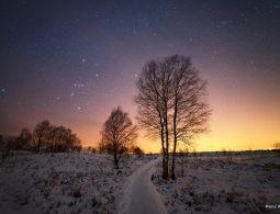 Астрологи предсказали интересный год: четыре затмения, звездопады и суперлуние. Что будет видно в России