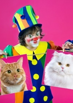 Танцующие кошки | Владимир Куклачёв