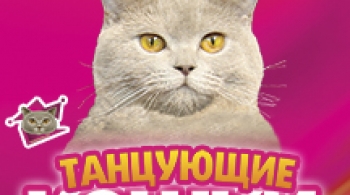 Танцующие кошки | Владимир Куклачёв