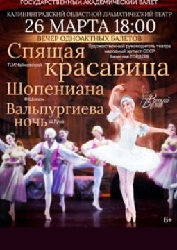 Спящая красавица | Русский балет