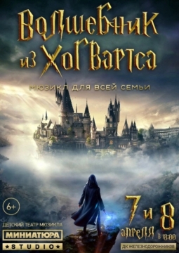 Волшебник из Хогвартса