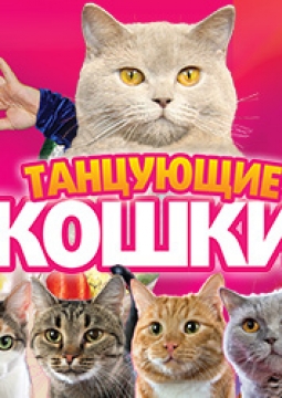 Танцующие кошки | Владимир Куклачёв