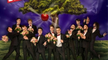 Дамские угодники