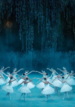 Лебединое озеро