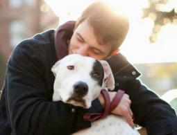 Домашние животные защищают мозг от старения