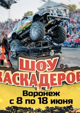 Шоу каскадеров