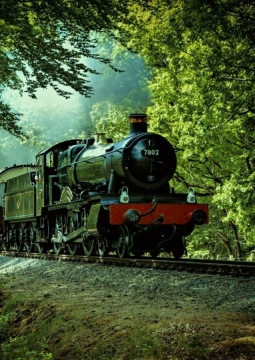 Магический Экспресс