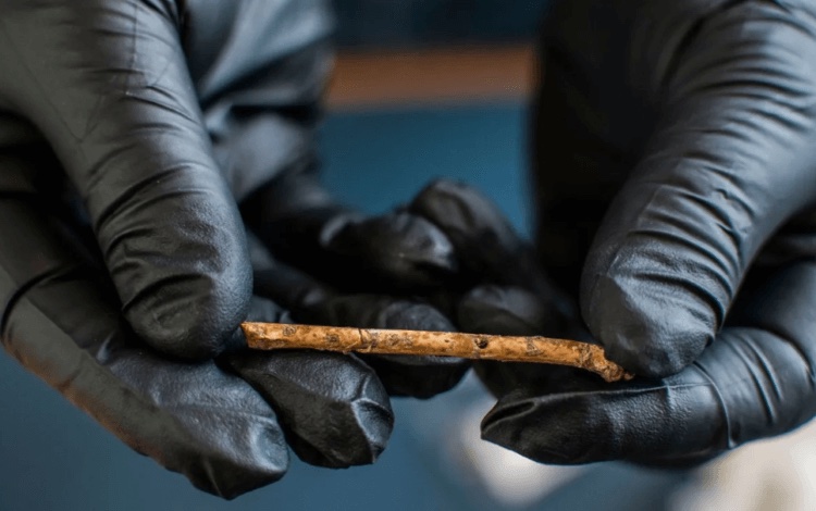 Археологи обнаружили флейты возрастом 12000 лет — послушайте, как они звучали