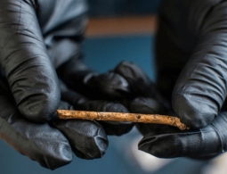 Археологи обнаружили флейты возрастом 12000 лет — послушайте, как они звучали