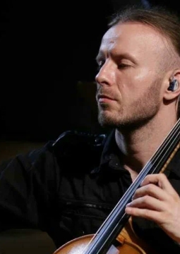 Renaissance Cellos