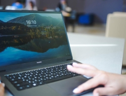 В России взлетел спрос на пиратскую Windows — она дешевле и надёжнее
