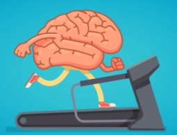 Всего 6 минут занятий спортом улучшают работу мозга, и вот почему