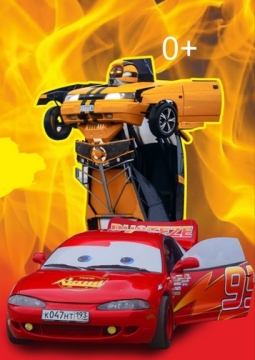 Шоу каскадёров