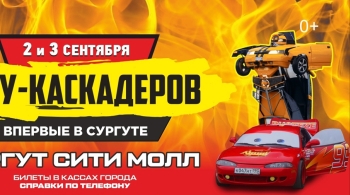 Шоу каскадёров