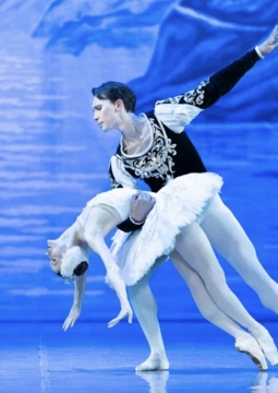 Лебединое озеро