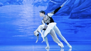 Лебединое озеро