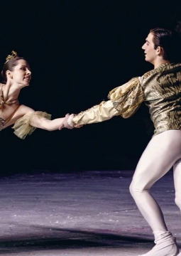 Спящая красавица