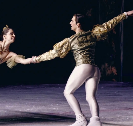 Спящая красавица