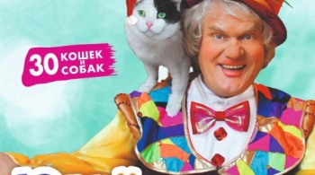 Мои любимые кошки