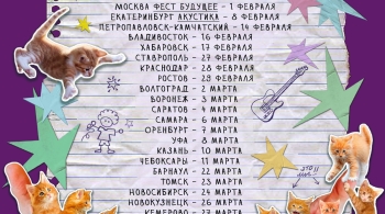 Полматери