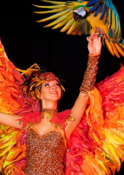 Театрально-цирковое шоу