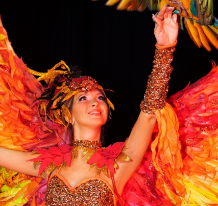 Театрально-цирковое шоу