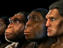 Самое большое генеалогическое древо показало, где зародилось человечество