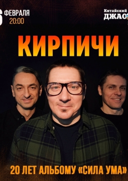 КИРПИЧИ