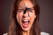 Ученые объяснили, почему люди не должны бояться пауков