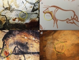 Древние люди умели писать — первая письменность найдена на пещерных рисунках